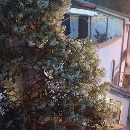 B&B Moscani 萨莱诺 外观 照片